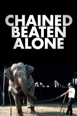 Sign Here to Stop Circus Cruelty! , PeTA