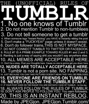13. I love this. The (unofficial) rules of Tumblr. [ imgfave ]