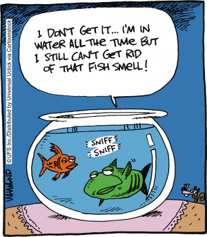 ... pet comics fish comics cartoon goldfish roommate cartoons funny quotes