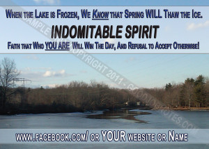 Indomitable Spirit - 1 Good Job Note Postcard - Ice