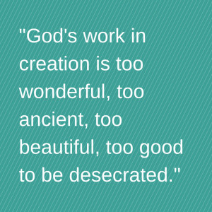 Act to protect Bristol Bay, Alaska by Sep 19