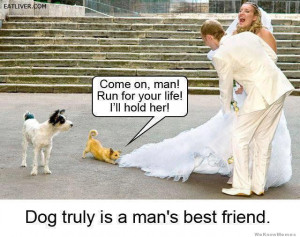 Dog truly is a man’s best friend
