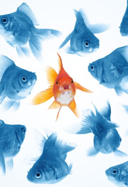 Quotes About Your Best Friend Ditching You #1