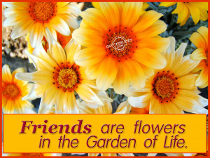 Friends are flowers in the Garden of Life ~ Flowers Quote