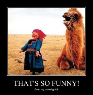 Funny Camel