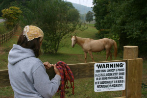 Rural or small town pictures (open space, smallest, 2015, grass)