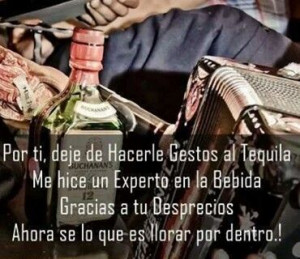 Banda la trakalosa- Borracho de amor