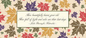 Sayings curated from over a Fall Leaves Quotes