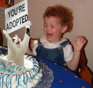 Funny Birthday Quotes and Funny Birthday Pictures