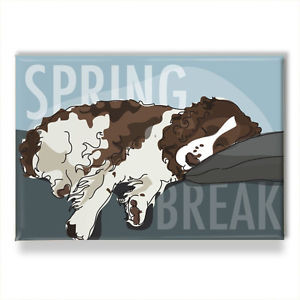 ... -Spaniel-Gifts-Refrigerator-Magnets-with-Funny-Sayings-Spring-Break