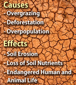 negative effects of overpopulation