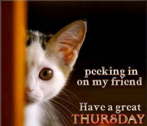 Have a great Thursday!