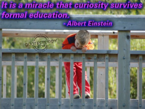 curiosity quotes | best curiosity quotes | wonderful curiosity quotes ...