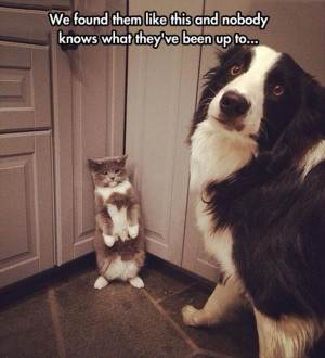 Leave a Reply Cancel reply