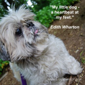 Dog Quote by Edith Wharton