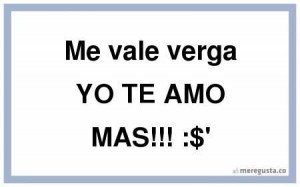 me vale verga yo te amo mas