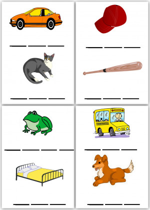 Docs Spelling Bee Word List