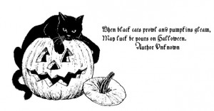 Sunday sentiment: Black cats and pumpkins