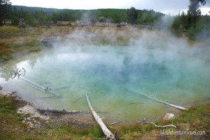 Hot Spring in Yellowstone National Park