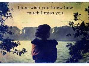 Just Wish You Knew How Much i miss you
