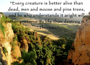 My Environmental Politics professor included this Thoreau quote in ...