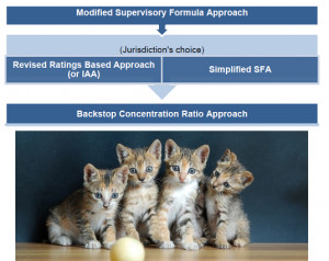 Now that we’ve gone over all of that, this paragraph should make at ...