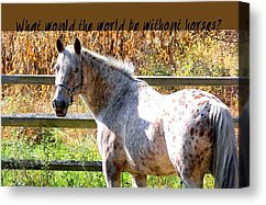Horse Quotes Canvas Prints - PRETTY APPALOOSA quote Canvas Print by ...