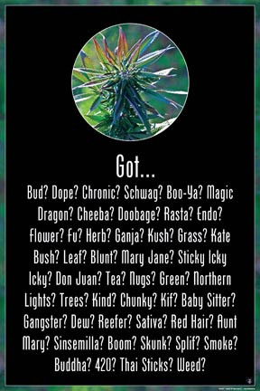 ... poster from us, you guys are keeping the quotes around my “job