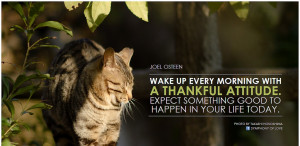 Master Cheng Yen Gratitude, rather than compliant, opens the doors to ...