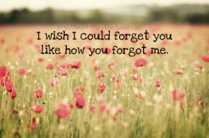 ... 500 heart fairytale: I wish I could forget you like how you forgot