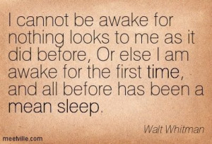 Quotes of Walt Whitman About proof, world, love, human, wisdom ...