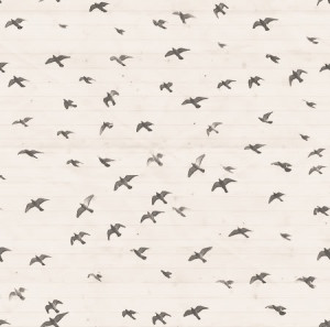 Tumblr Backgrounds For Desktop