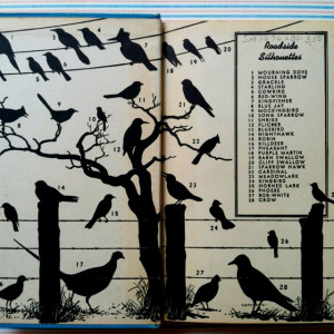 By Roger Tory Peterson. Coolest flea market find!