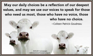 Posted by Kenna Smoot at 8:40 PM