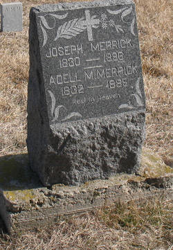 Joseph Merrick Joseph merrick