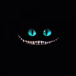tim burton Alice In Wonderland Cheshire Cat just a random gif gif: by ...