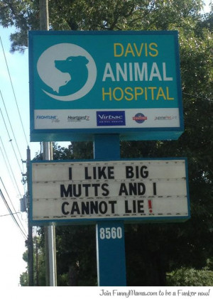 animal hospital sign
