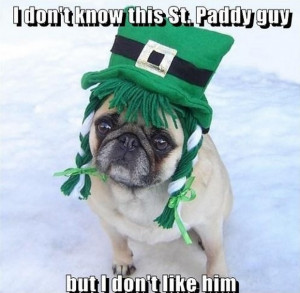Funny St Patrick’s Day Pictures – 21 Pics