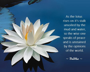 Buddhist quote..lotus