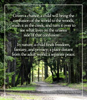 ... bring the confusion of the world to the woods ... ~ Richard Louv quote