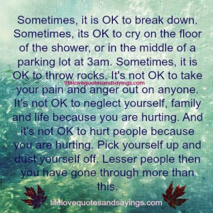 Sometimes It Is Ok To Break Down..