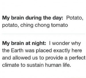 funny-picture-potato-brain-day-night