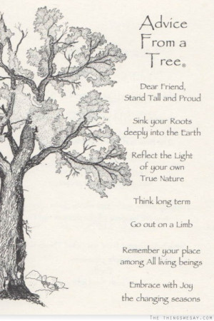 Dear friend stand tall and proud sink your roots deeply into the earth ...