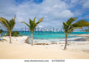 cruise ship passengers near Great Stirrup Cay, Bahamas on November 13