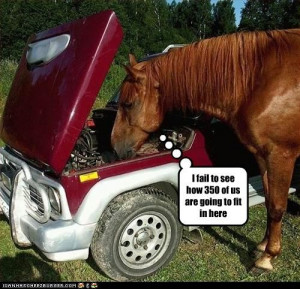 funny horse quotes and sayingsLaugh, Quotes, Funny Hors, Funny Stuff ...