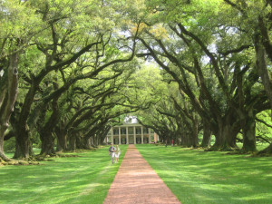 He that plants trees loves others besides himself.”