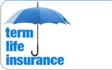 Term Life Insurance Quotes