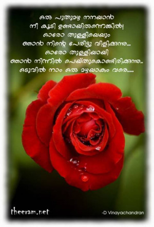 Malayalam Quotes About Life