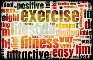 lifestyle videos a selection of videos that show the lifestyle ...