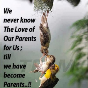 Parental Love ♥